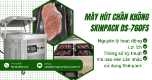 (Tiếng Việt) Máy đóng gói chân không sát da Skinpack DS-760FS LÀ GÌ? NGUYÊN LÝ HOẠT ĐỘNG VÀ LỢI ÍCH CHO NGÀNH THỦY SẢN VÀ THỊT
